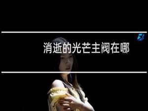 消逝的光芒主阀在哪