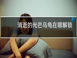 消逝的光芒乌龟在哪解锁