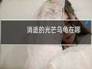 消逝的光芒乌龟在哪
