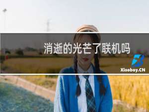 消逝的光芒了联机吗