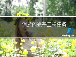 消逝的光芒二卡任务