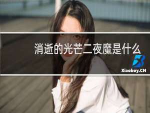 消逝的光芒二夜魔是什么