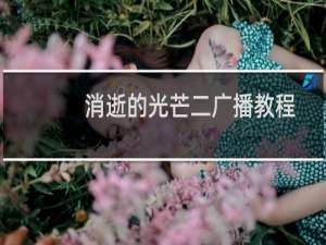 消逝的光芒二广播教程