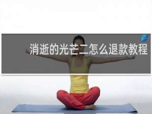 消逝的光芒二怎么退款教程