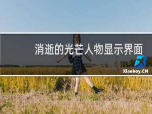 消逝的光芒人物显示界面
