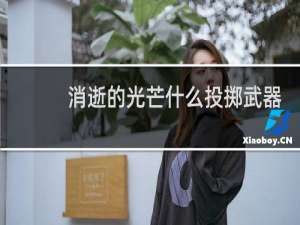 消逝的光芒什么投掷武器