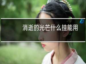 消逝的光芒什么挂能用