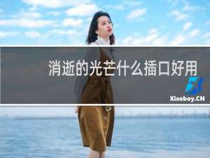消逝的光芒什么插口好用