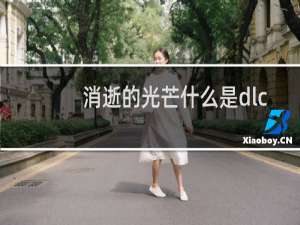 消逝的光芒什么是dlc