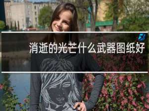 消逝的光芒什么武器图纸好