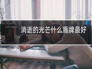 消逝的光芒什么盾牌最好