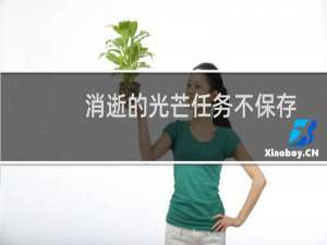 消逝的光芒任务不保存
