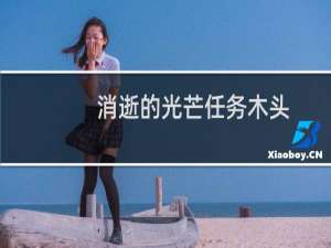 消逝的光芒任务木头