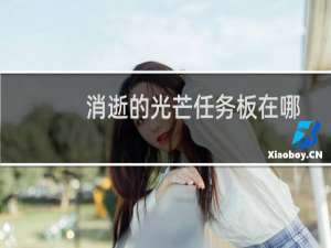 消逝的光芒任务板在哪