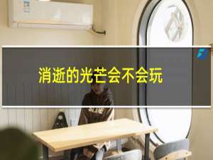 消逝的光芒会不会玩