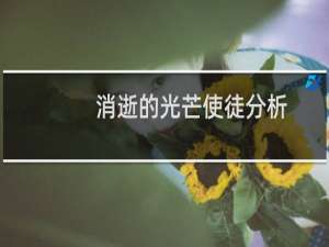 消逝的光芒使徒分析