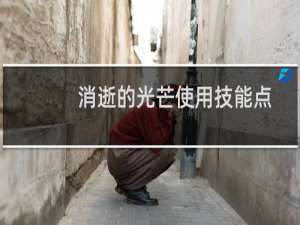 消逝的光芒使用技能点