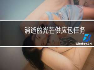 消逝的光芒供应包任务