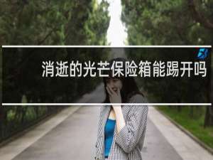 消逝的光芒保险箱能踢开吗