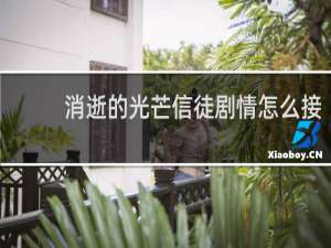 消逝的光芒信徒剧情怎么接