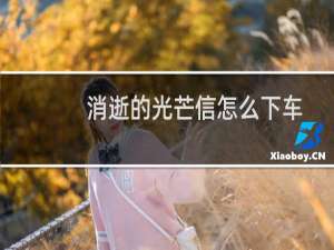 消逝的光芒信怎么下车
