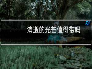 消逝的光芒值得带吗