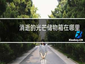 消逝的光芒储物箱在哪里
