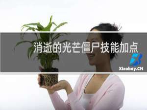 消逝的光芒僵尸技能加点