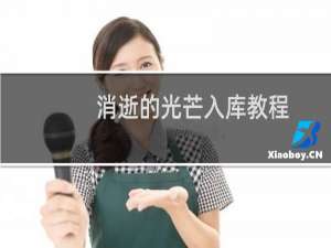 消逝的光芒入库教程