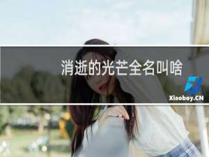 消逝的光芒全名叫啥