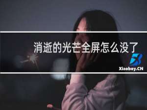 消逝的光芒全屏怎么没了