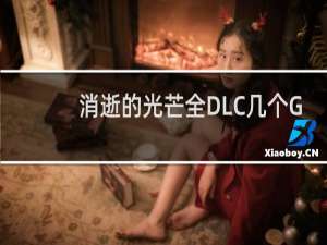 消逝的光芒全DLC几个G