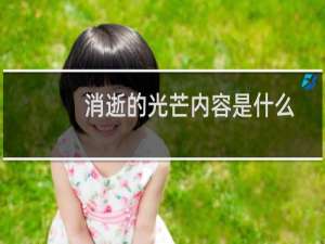消逝的光芒内容是什么