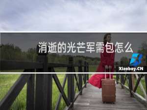 消逝的光芒军需包怎么