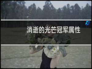 消逝的光芒冠军属性