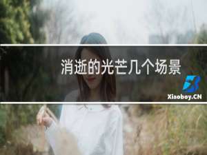消逝的光芒几个场景
