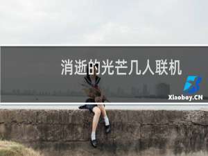 消逝的光芒几人联机
