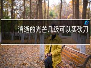 消逝的光芒几级可以买砍刀