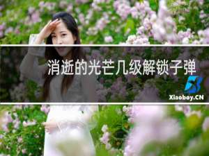 消逝的光芒几级解锁子弹