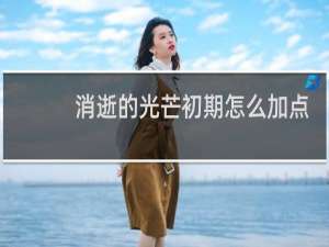 消逝的光芒初期怎么加点