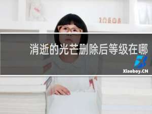 消逝的光芒删除后等级在哪