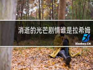 消逝的光芒剧情谁是拉希姆