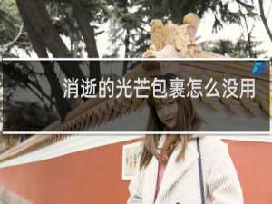 消逝的光芒包裹怎么没用