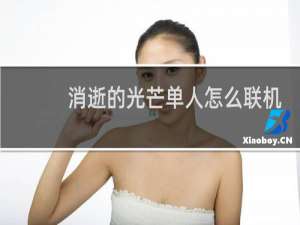 消逝的光芒单人怎么联机