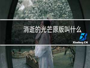消逝的光芒原版叫什么