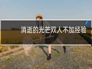 消逝的光芒双人不加经验