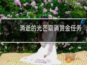 消逝的光芒取消赏金任务