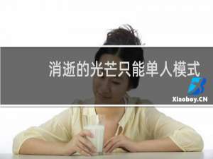 消逝的光芒只能单人模式