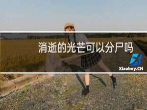消逝的光芒可以分尸吗