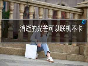 消逝的光芒可以联机不卡